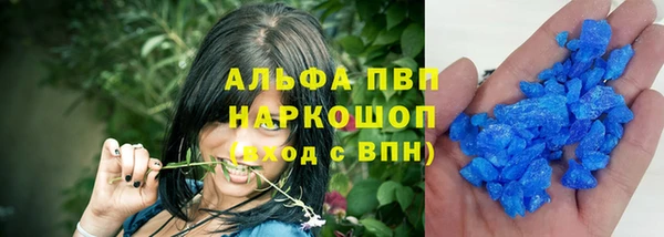 ECSTASY Новодвинск
