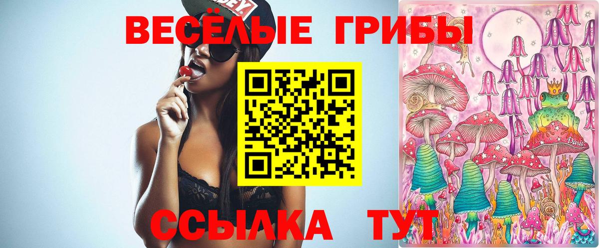 Псилоцибиновые грибы мицелий  Вход с VPN  Шумерля 